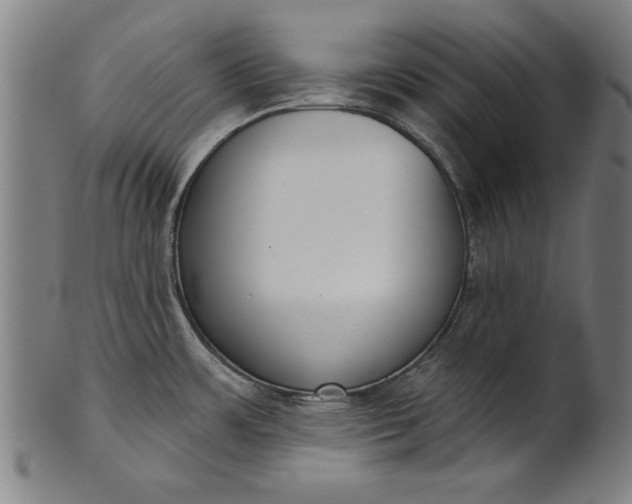 X0000101201483200807110957