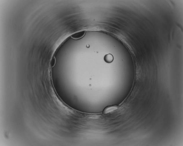 X0000101201484200807110957