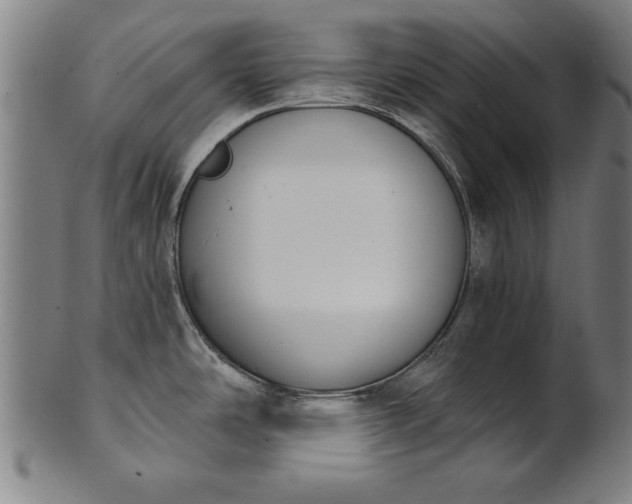 X0000101201486200807110957