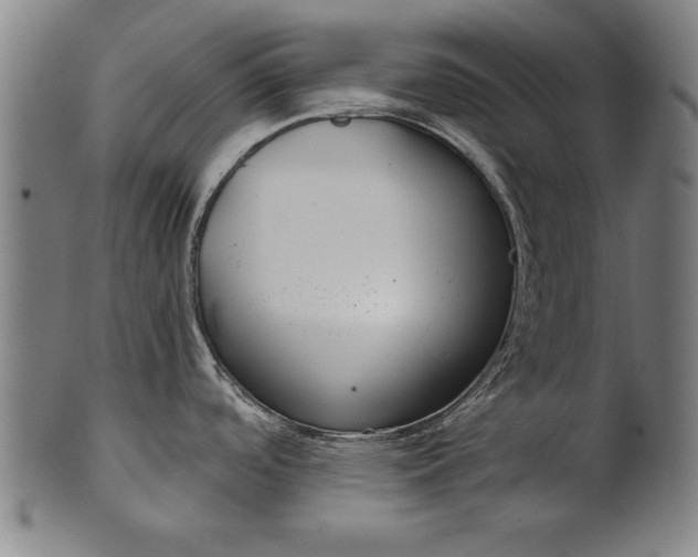 X0000101201488200807110957