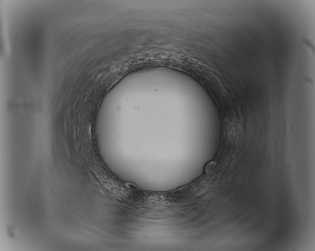 X0000101201489200807110956