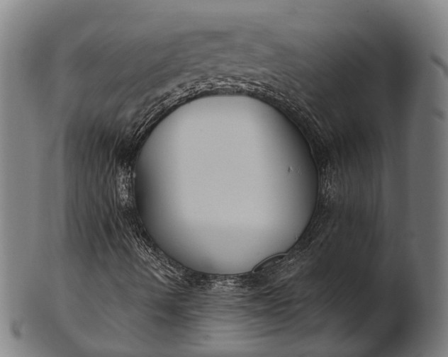 X0000101201490200807110956