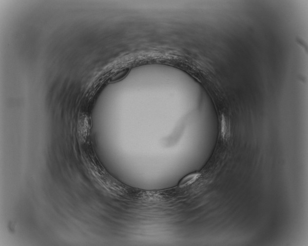 X0000101201492200807110956