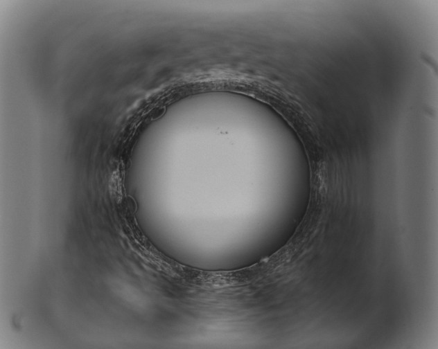 X0000101201493200807110956