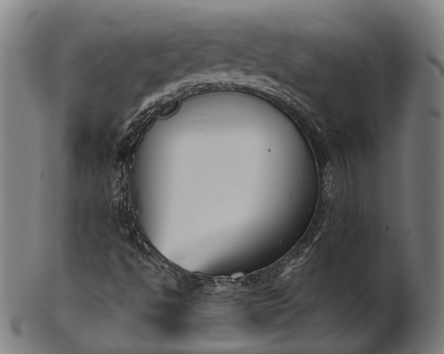 X0000101201494200807110956