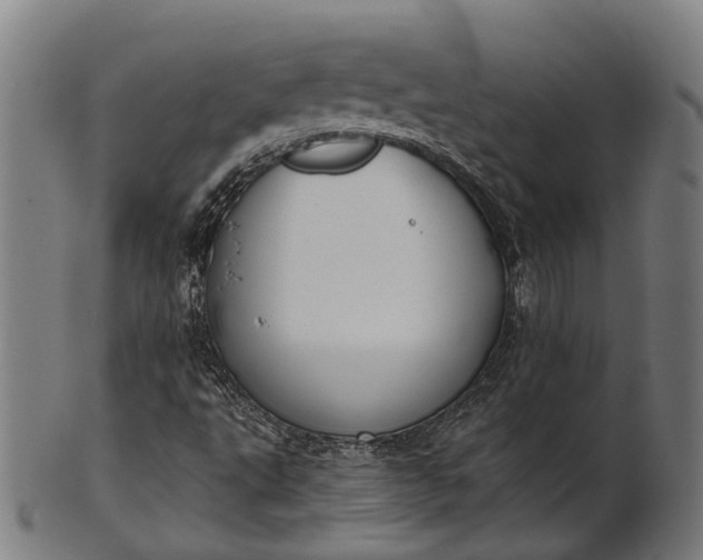 X0000101201495200807110956