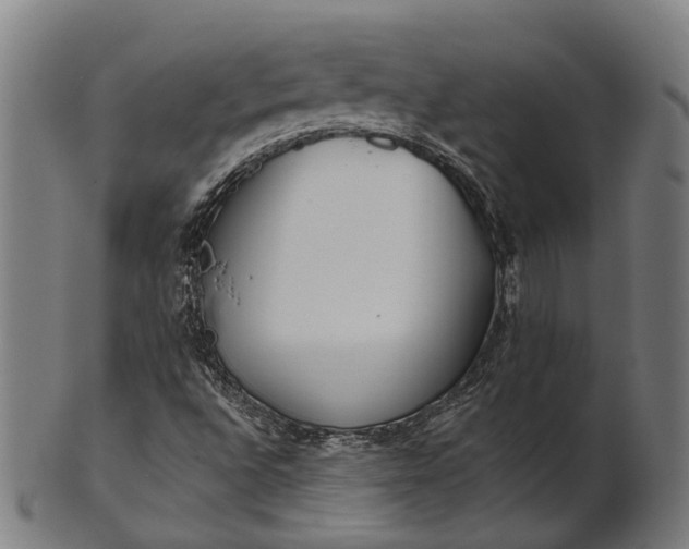 X0000101201496200807110956