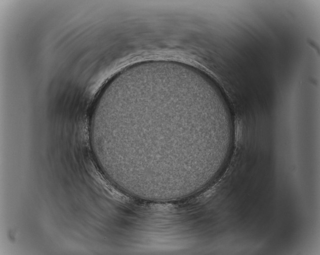 X0000101201498200807110956