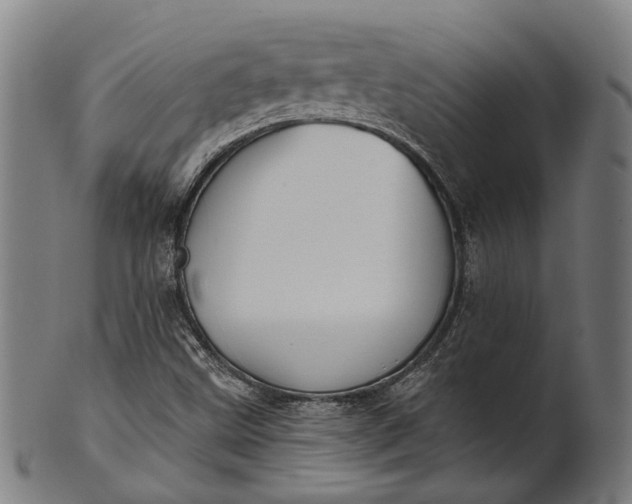 X0000101201499200807110956