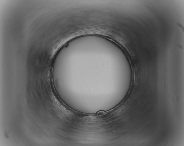 X0000101201500200807110956