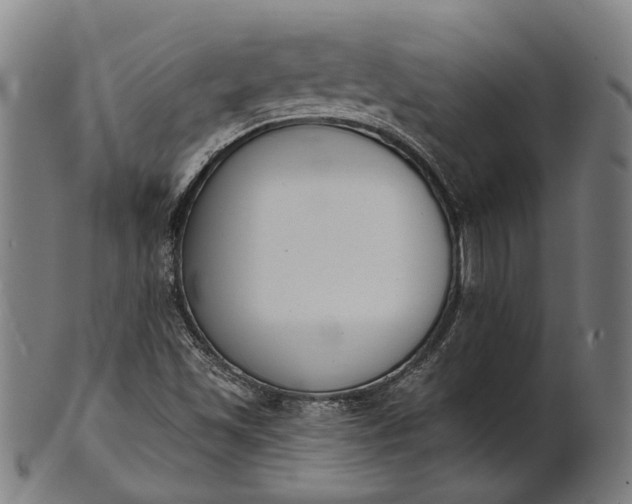 X0000101201501200807110956