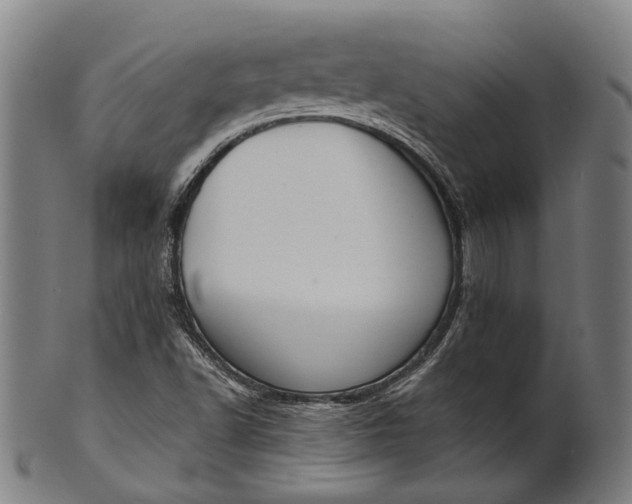 X0000101201502200807110956