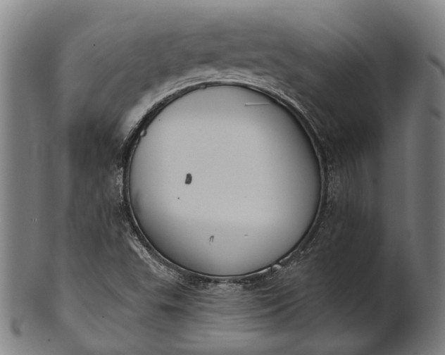 X0000101201503200807110956