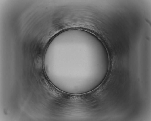 X0000101201505200807110956