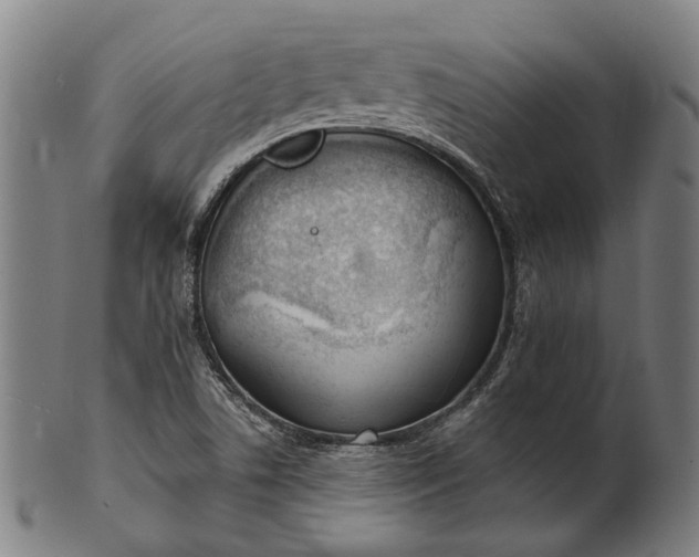 X0000101201506200807110956