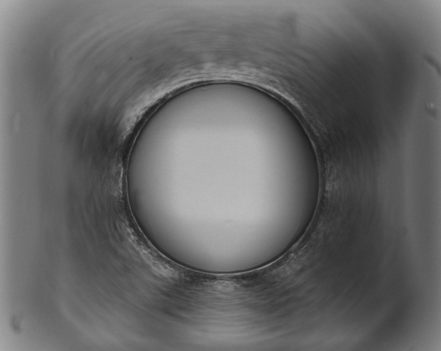 X0000101201507200807110956