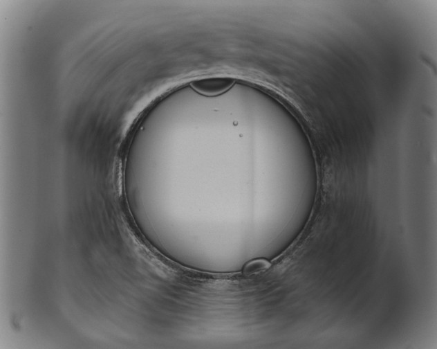 X0000101201510200807110956