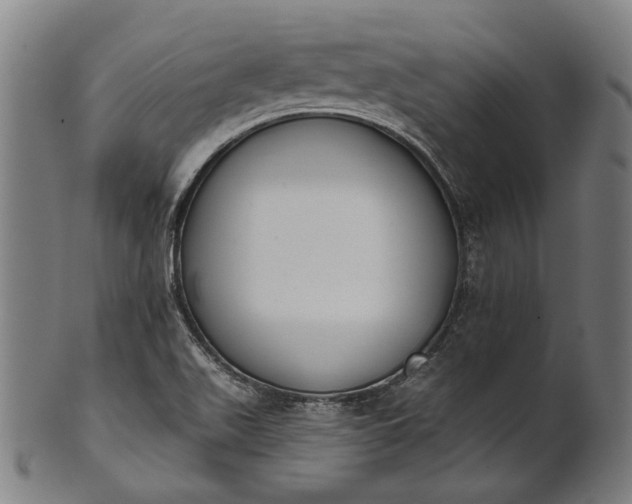 X0000101201511200807110956