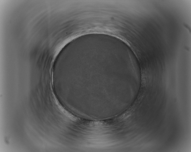 X0000101201515200807110956