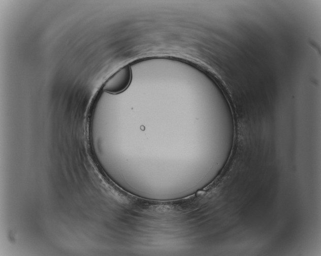 X0000101201517200807110956