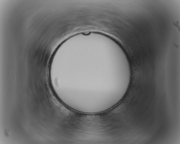 X0000101201518200807110956