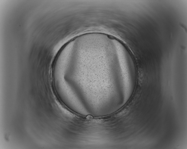 X0000101201519200807110956