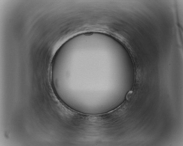 X0000101201520200807110956
