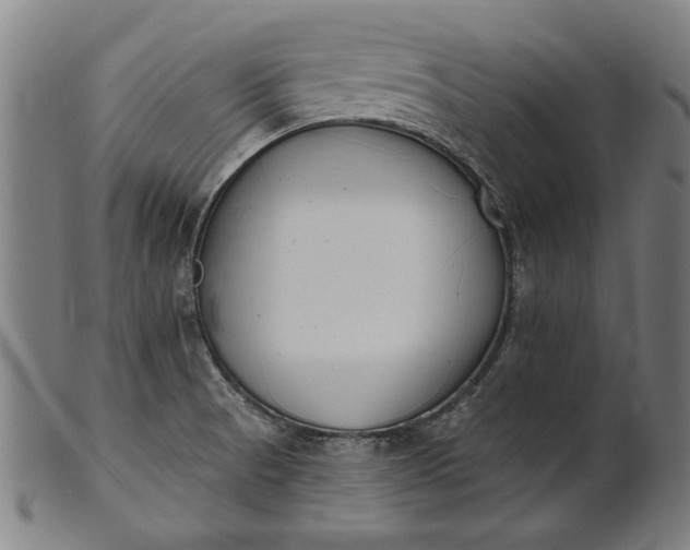 X0000101201521200807110956