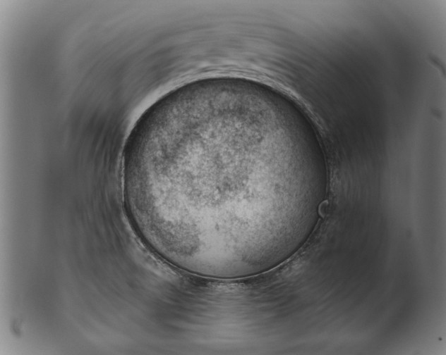 X0000101201522200807110956