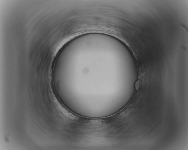 X0000101201523200807110956