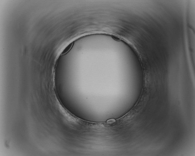 X0000101201524200807110956