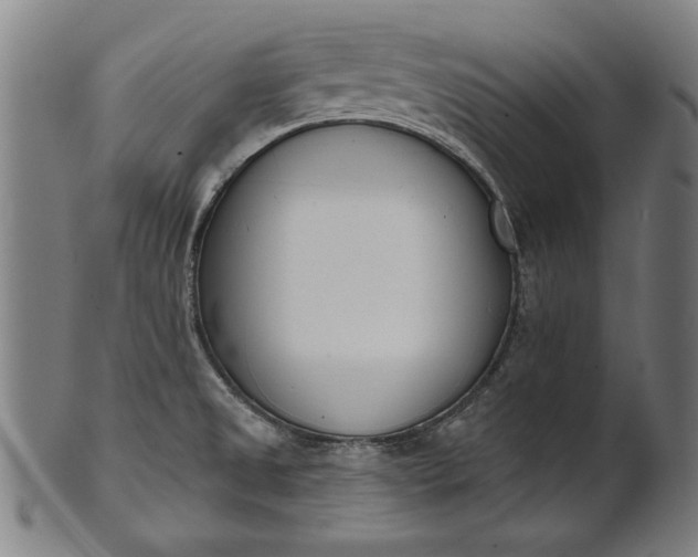 X0000101201525200807110956