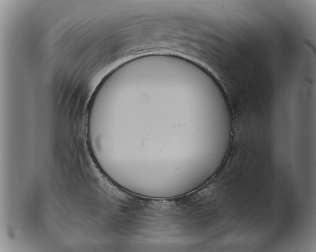 X0000101201526200807110956