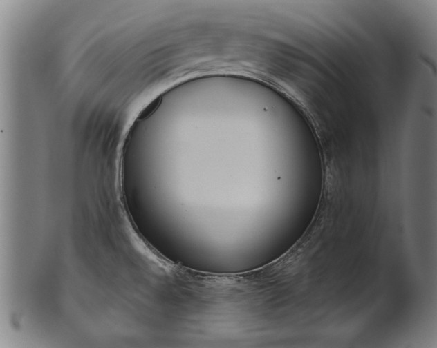 X0000101201528200807110956