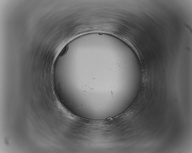X0000101201532200807110957