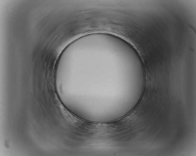 X0000101201534200807110957
