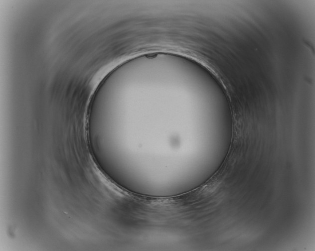 X0000101201535200807110957