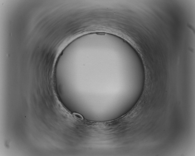 X0000101201536200807110957