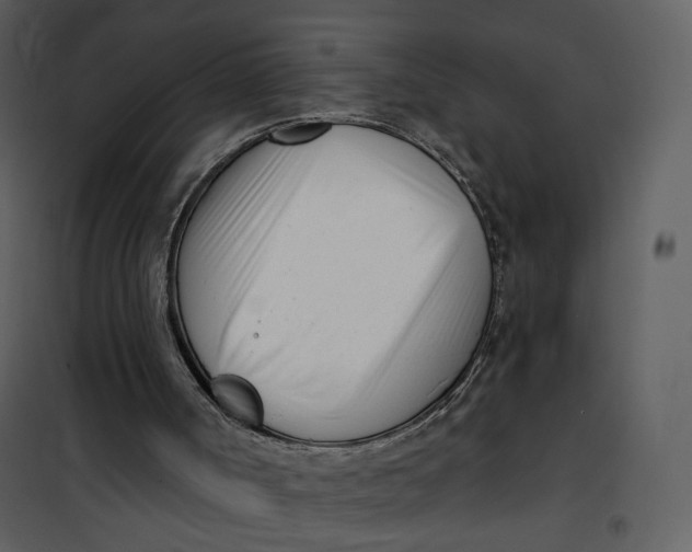 X0000101200002200807181546