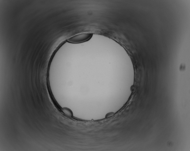 X0000101200003200807181546