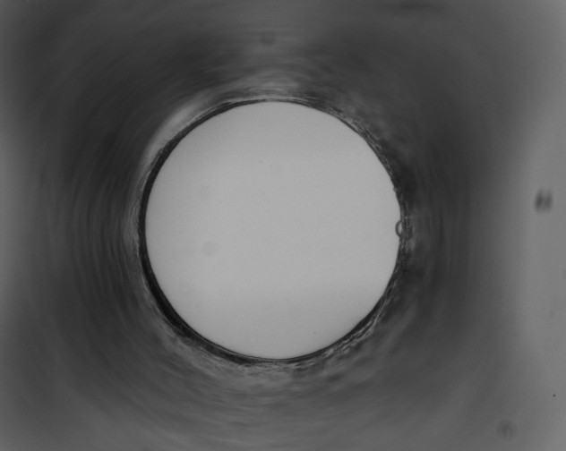 X0000101200004200807181546