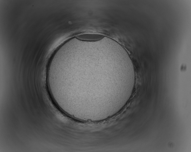 X0000101200005200807181546