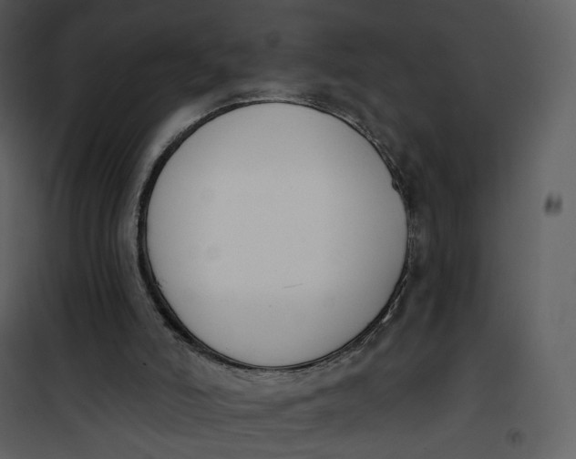 X0000101200006200807181546