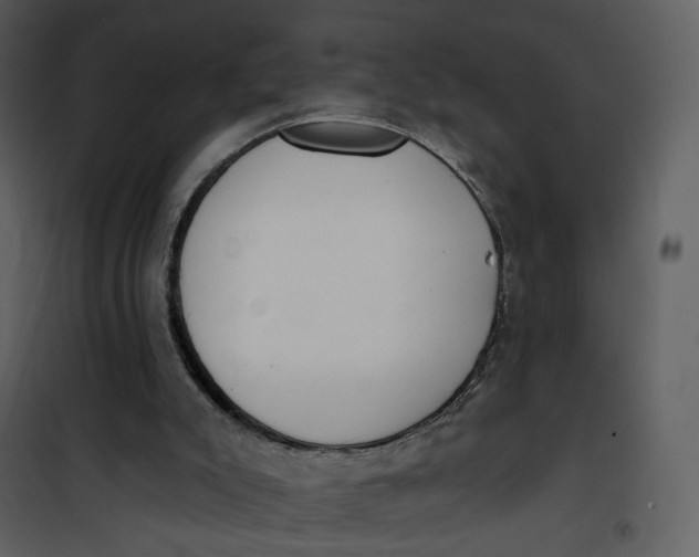 X0000101200007200807181546