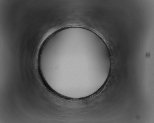 X0000101200008200807181546