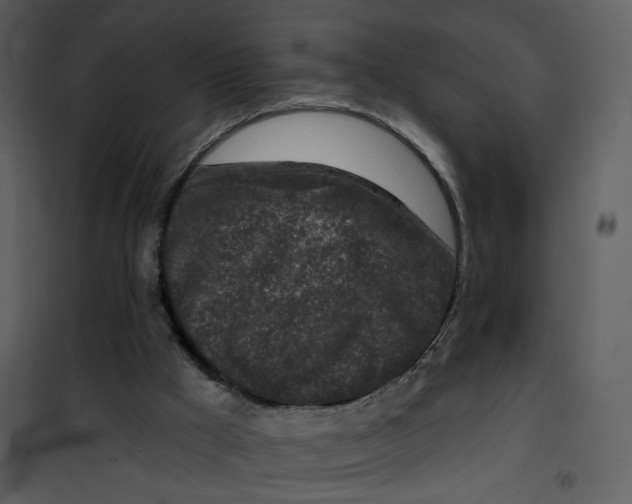 X0000101200009200807181546