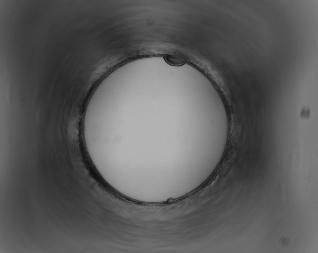 X0000101200010200807181546