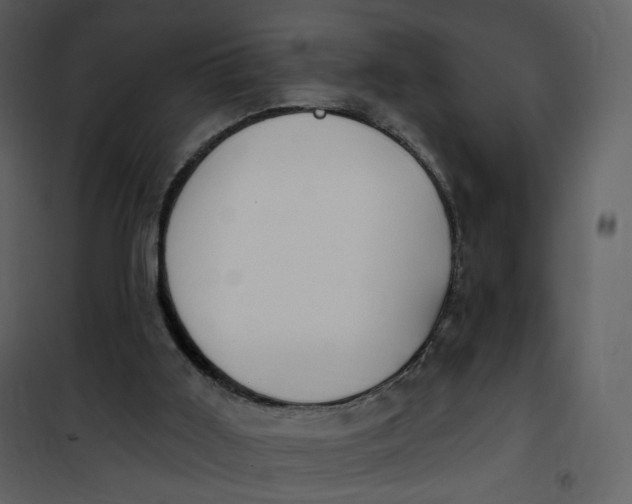 X0000101200011200807181546