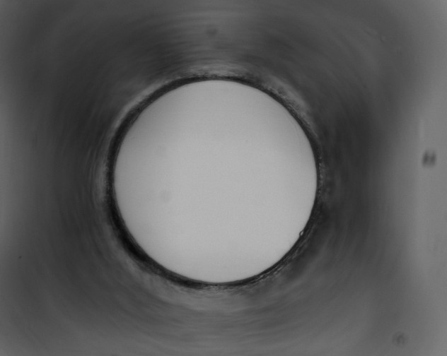 X0000101200012200807181546