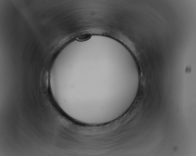 X0000101200013200807181546